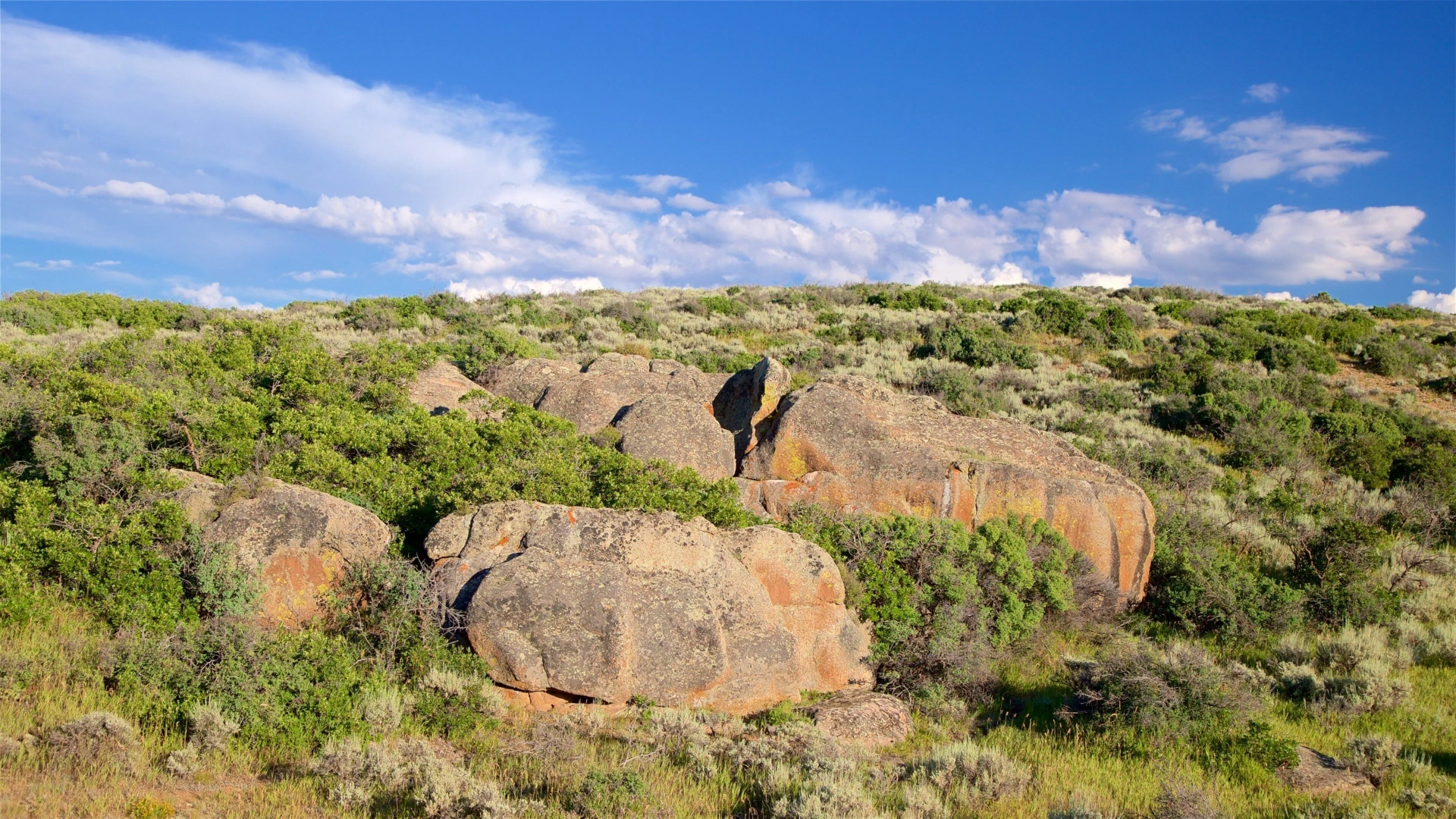 Sage and boulder rural landscape outside Montrose, Colorado — typical USDA-eligible Western Slope terrain