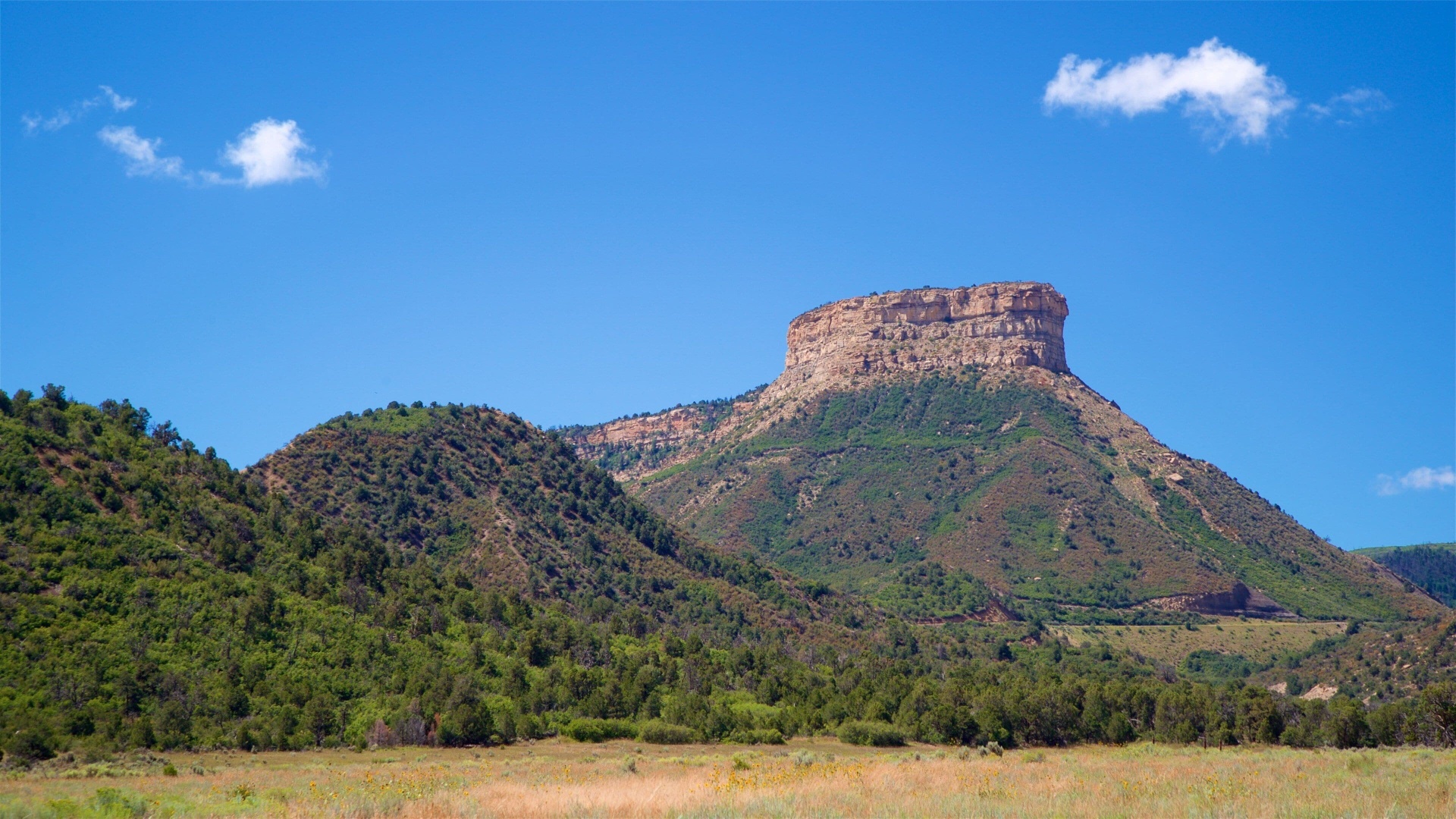 Iconic mesa butte near Cortez, Colorado on a clear summer day
