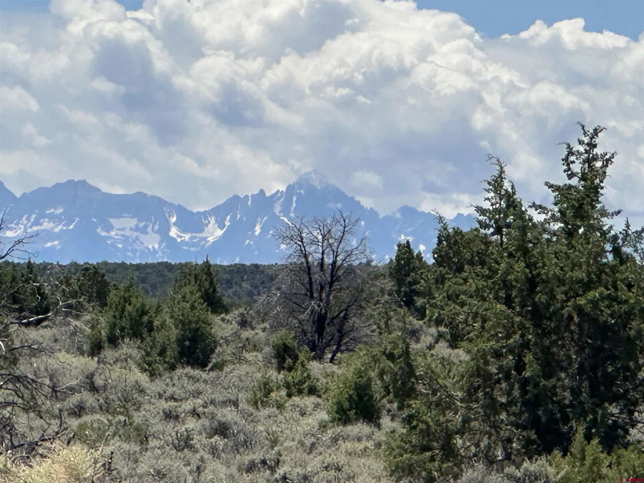 Sneffels Range peaks rising over juniper and sage rangeland in the Uncompahgre Valley near Montrose, Colorado