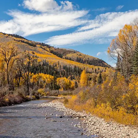 River and autumn aspens in the mountains near Cortez, Colorado