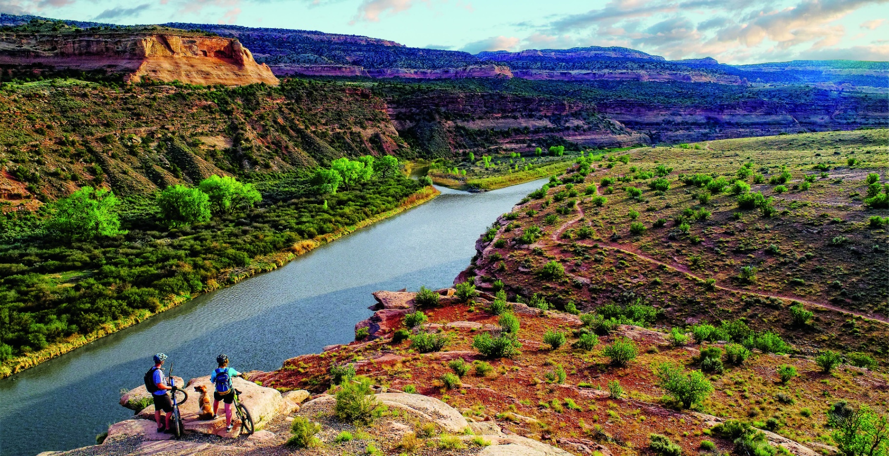 Mountain bikers overlooking the Colorado River and red rock canyons near Grand Junction