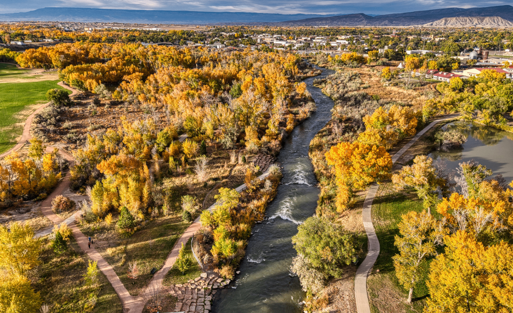 Aerial view of the Uncompahgre River winding through Montrose, Colorado with golden cottonwoods in fall